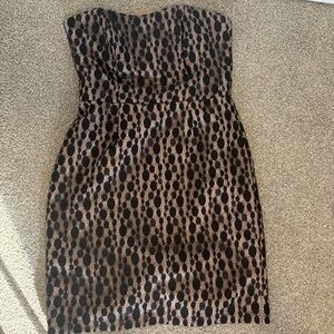 After Six Strapless Black and Brown‎ Lace Mini Dress Women's Plus Size 14